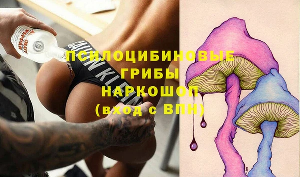 эйфоретик Арсеньев