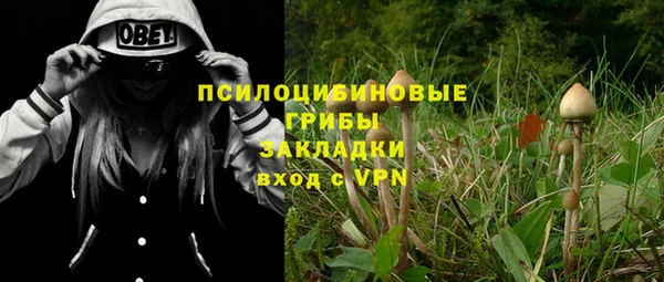 эйфоретик Арсеньев