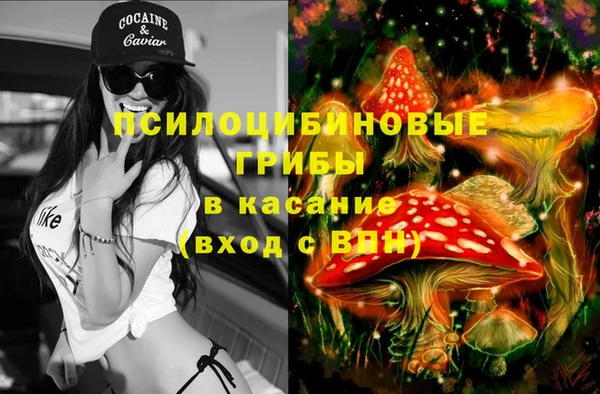 бошки Армянск