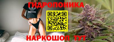 сатива Брянск