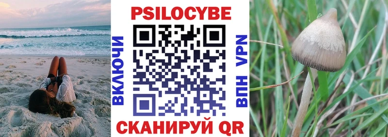 Псилоцибиновые грибы мицелий Балтийск